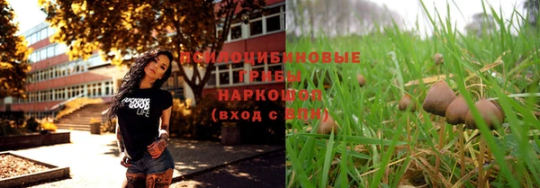дмт Алзамай