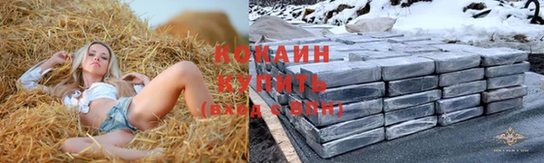 дмт Алзамай
