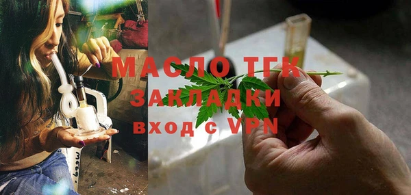мет Алексин