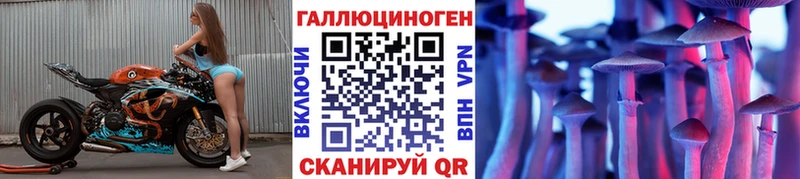 как найти Пошехонье Псилоцибиновые грибы MAGIC MUSHROOMS