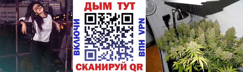 Каннабис Ganja  Пошехонье 